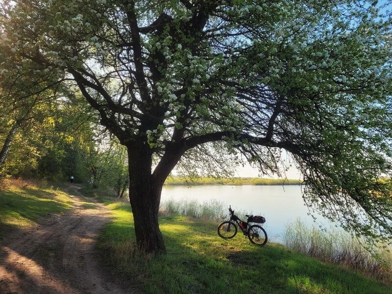 Весенними вечерамиphoto preview