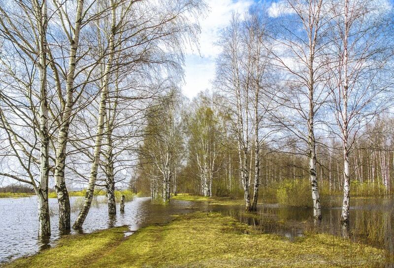 Киров, весна, разлив Половодьеphoto preview