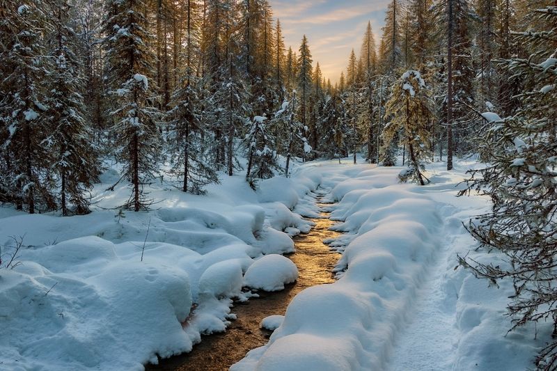 Золотой ручеекphoto preview