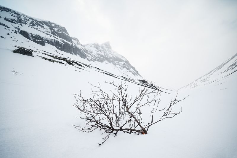 Прогулка до перевала Кукисвумчорр.photo preview