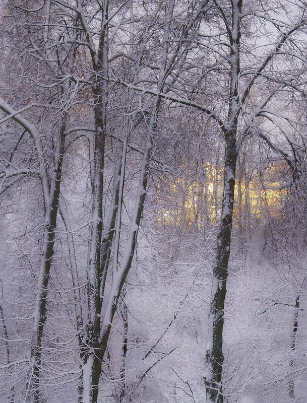 Зимний вечер 2photo preview