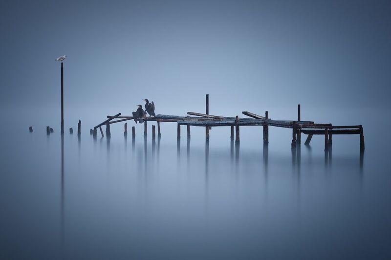 2024-10-03photo preview