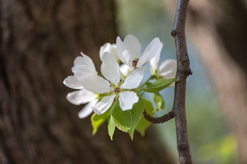 Привет)photo preview