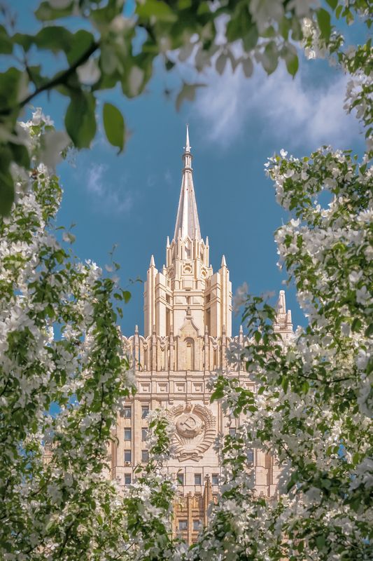 мид, яблоня, весна, москва, moscow, spring МИДphoto preview