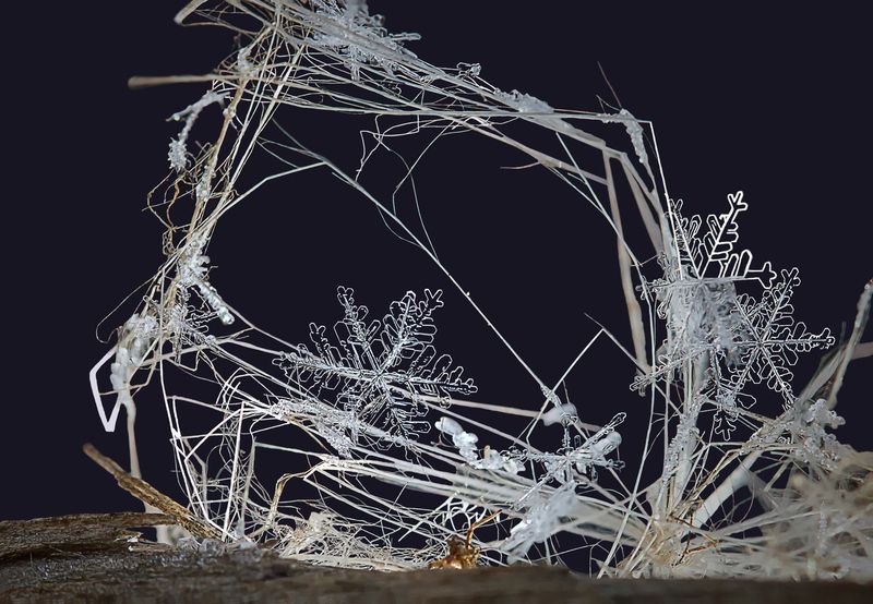 Снежинкаphoto preview