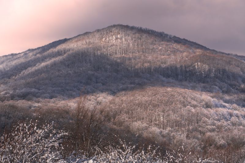 Зимнее настроениеphoto preview