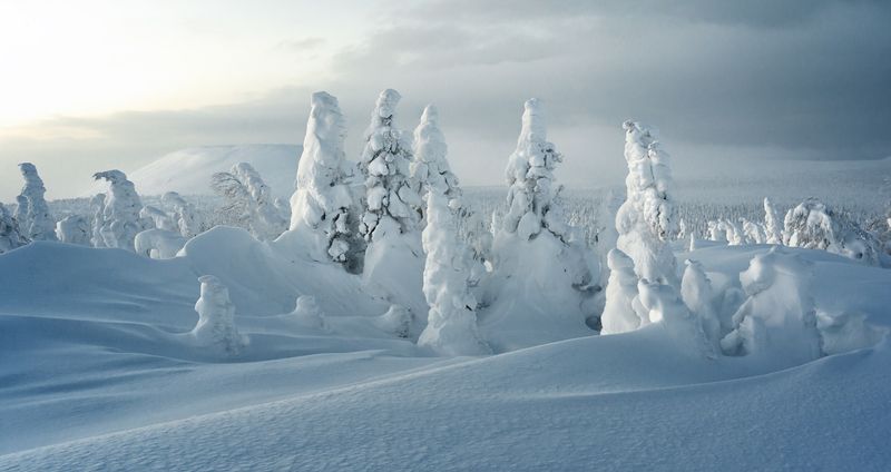 #урал #ГУХ #снежный Урал #зима на Урале ГУХ. Урал 2025photo preview