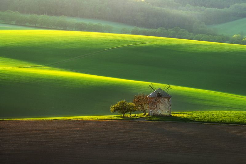 spring, moravia, sony, bloom, trees, czech, bohemia, field, tuscany, green, grass, kunkovice Spring in Moraviaphoto preview