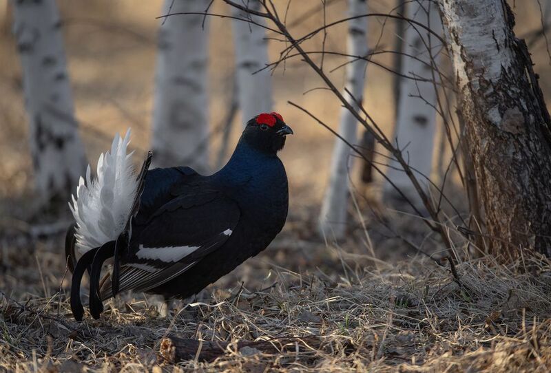 На токуphoto preview