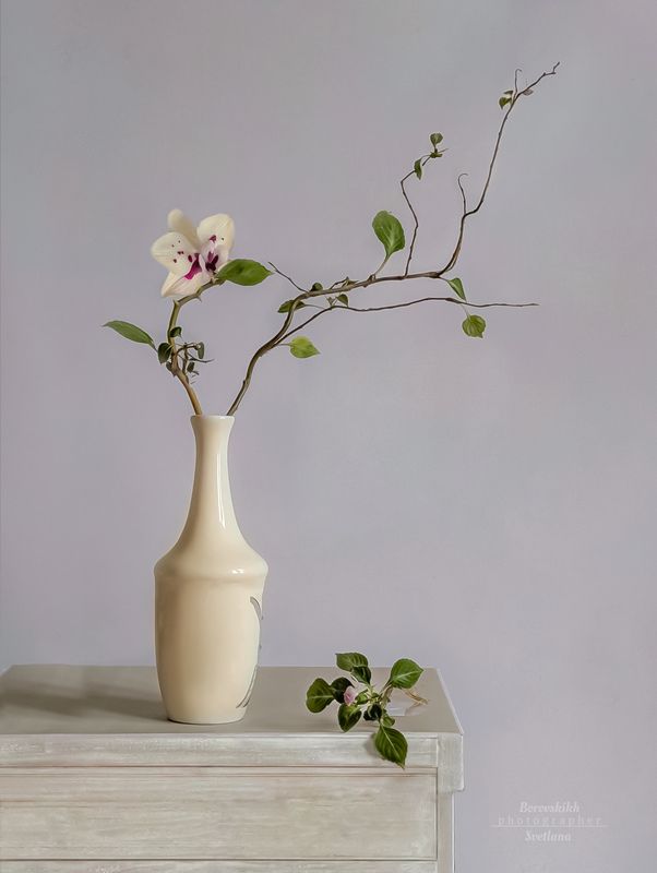 натюрморт, art_photo, светлый_ключ, минимализм, весна, фото у окна, цветы, фото на телефон Нежная Весна!photo preview