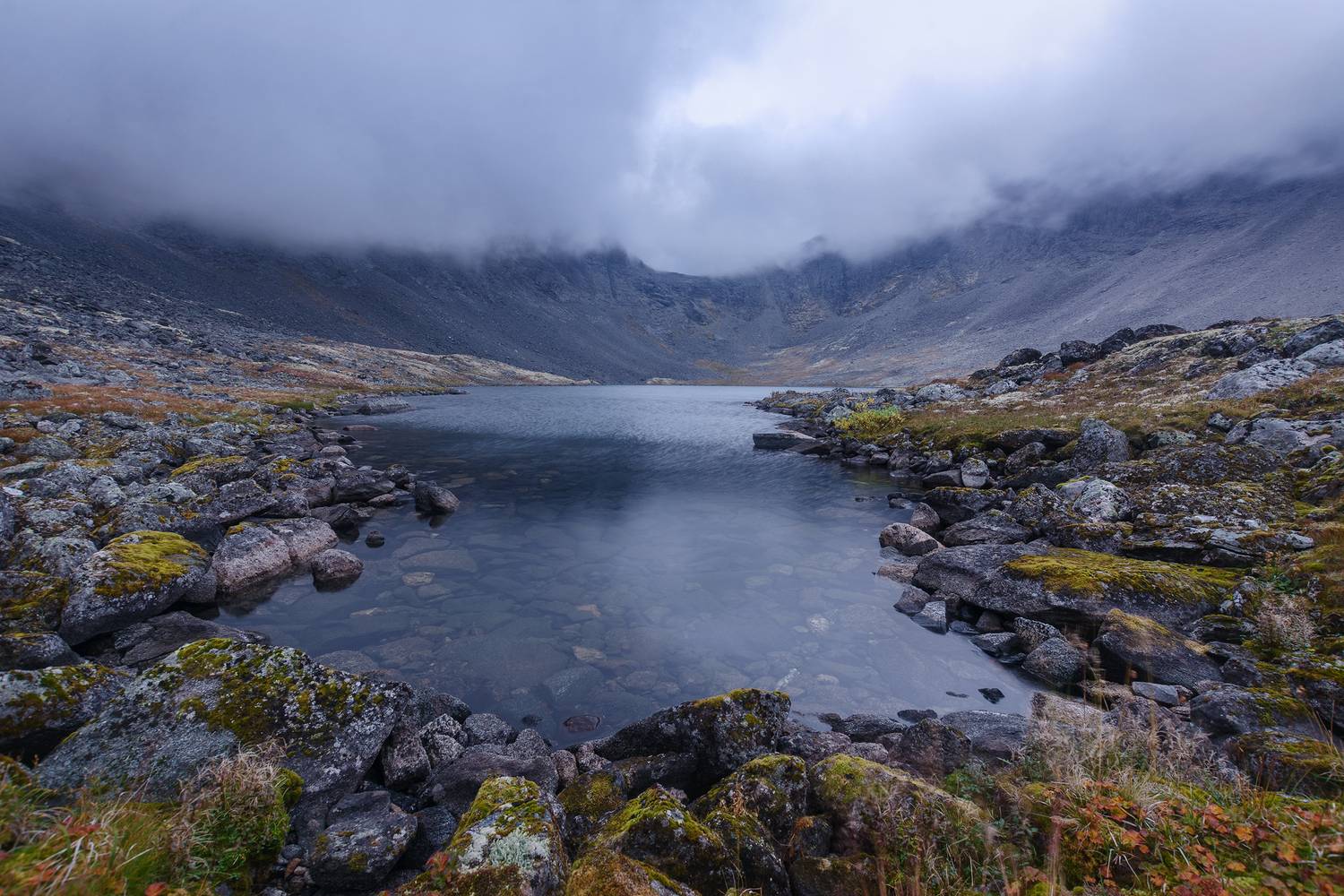 , Ян Сурогин