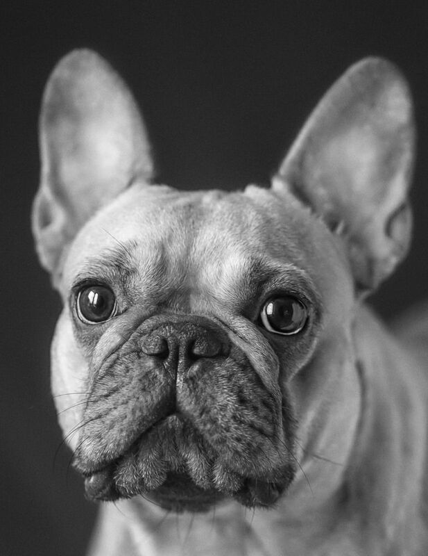 Эти глаза напротив ,у меня сегодня такое .photo preview