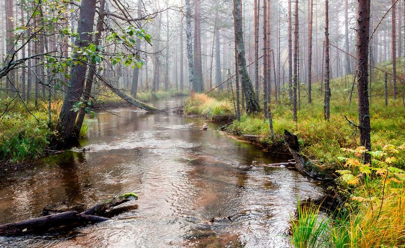 Late morning фото превью