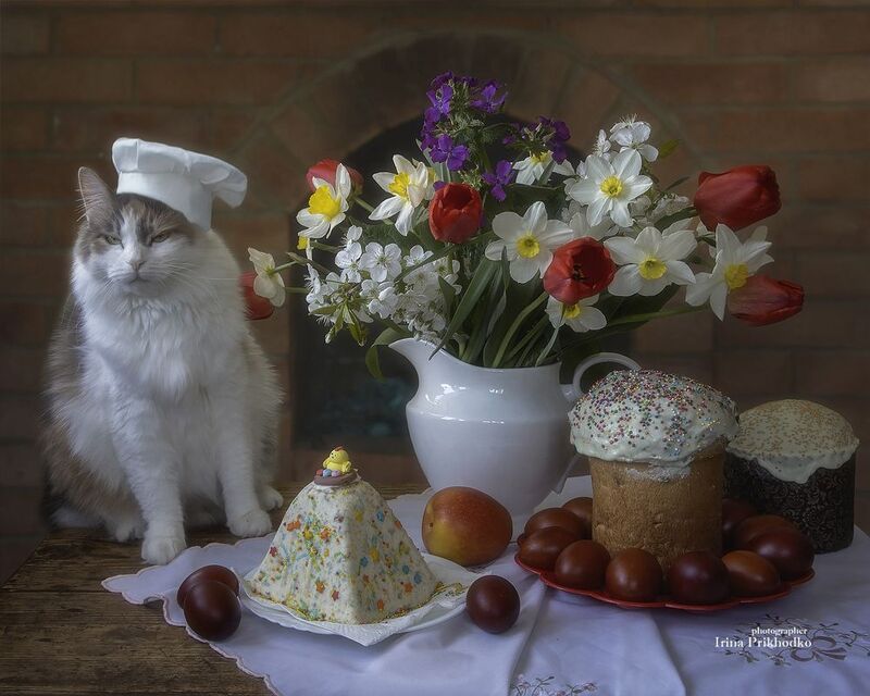 постановочное фото, натюрморт, еда, праздники, Пасха, куличи, кошка, питомцы Пасхальный кондитер фото превью