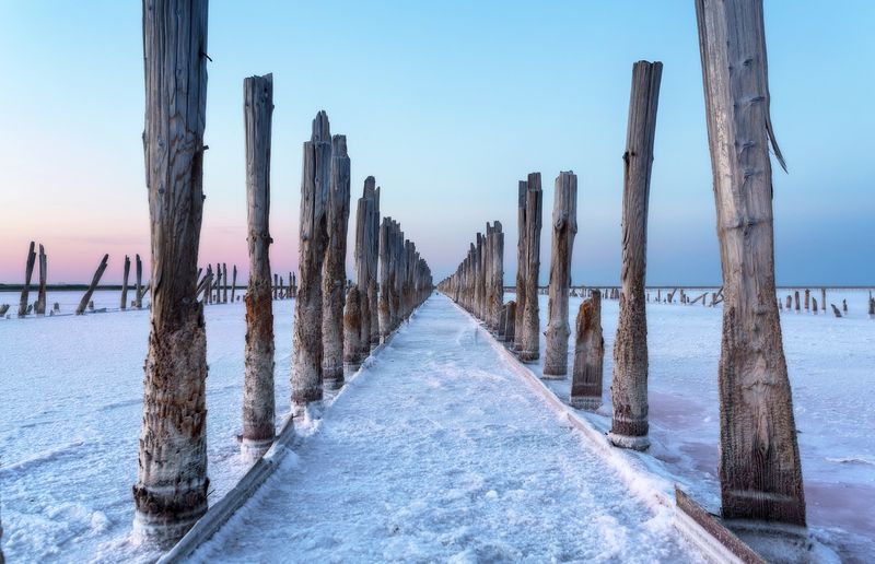 Озеро Сасыкphoto preview