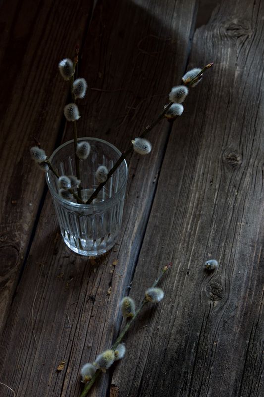 весна, верба Вербаphoto preview