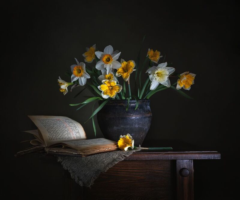 Книга и букет нарциссовphoto preview