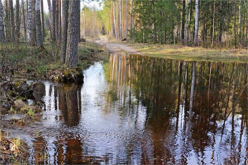 Уходит вешняя водаphoto preview