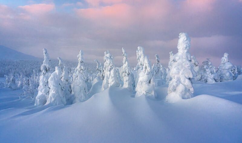 #ГУХ #Урал #Уральский хребет #тайга зимой ГУХ январь 2025photo preview