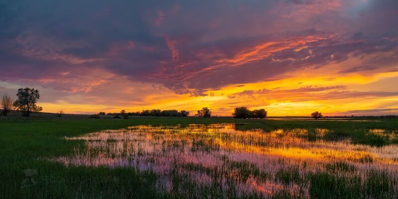 астраханская область, река, вода, волга, заповедник, закат, половодье, красное, май, весна, весенний, вода, отражение, трава, Миг яркой красотыphoto preview