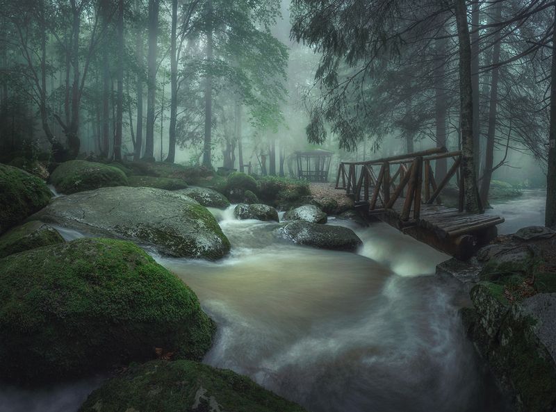 landscape, nature, scenery, forest, wood, mist, misty, fog, foggy, river, longexposure, mountain, rocks, vitosha, bulgaria, туман, лес After the rain / После дождяphoto preview