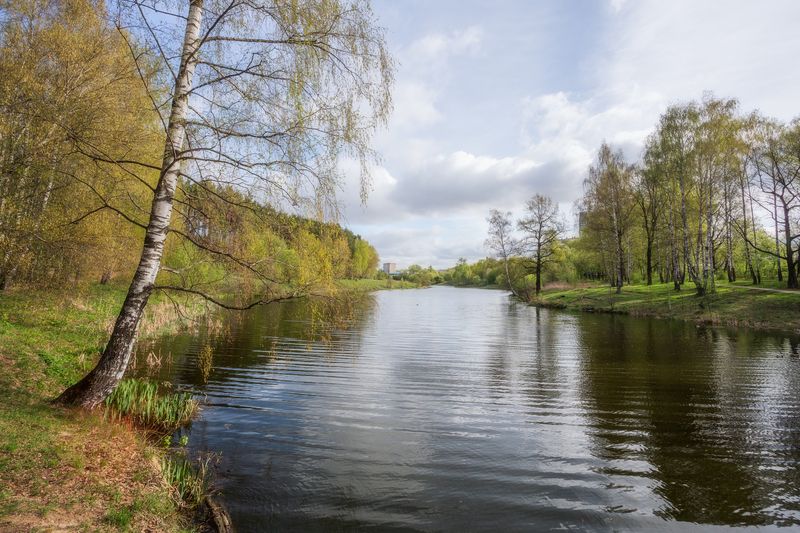 природа, пейзаж, река, весна, весенний пейзаж, Московская область Апрельphoto preview