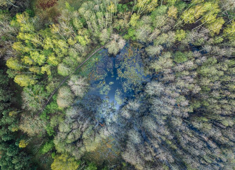 Апрель фото превью