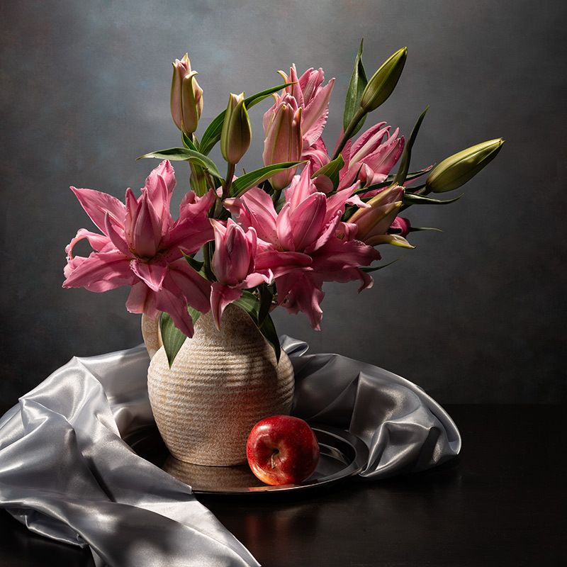 ----------------photo preview