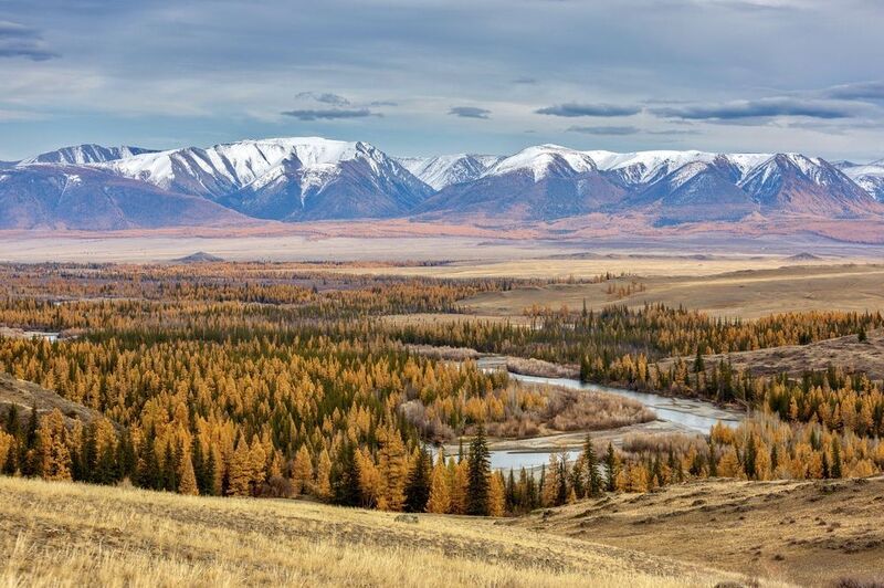 алтай, курай, осень Алтай. Пасмурный Курайphoto preview