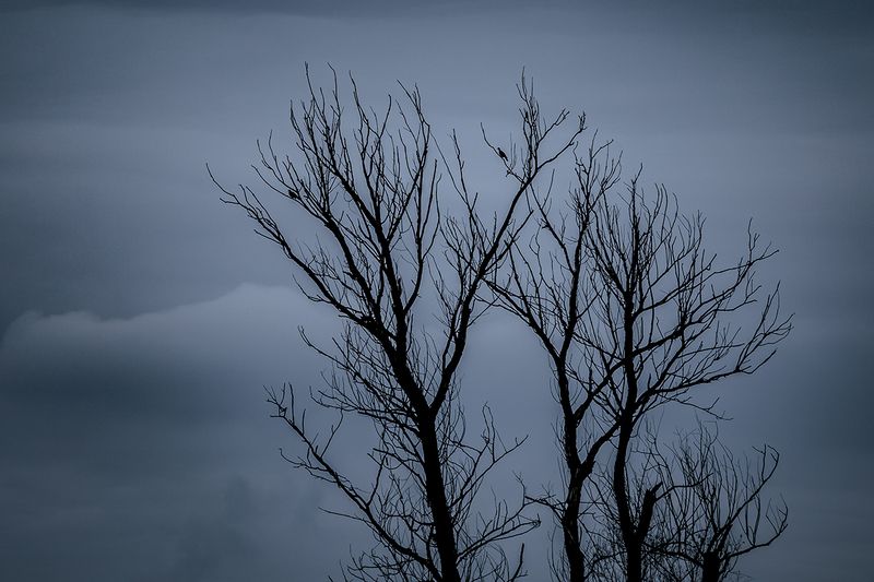 2024-10-06photo preview