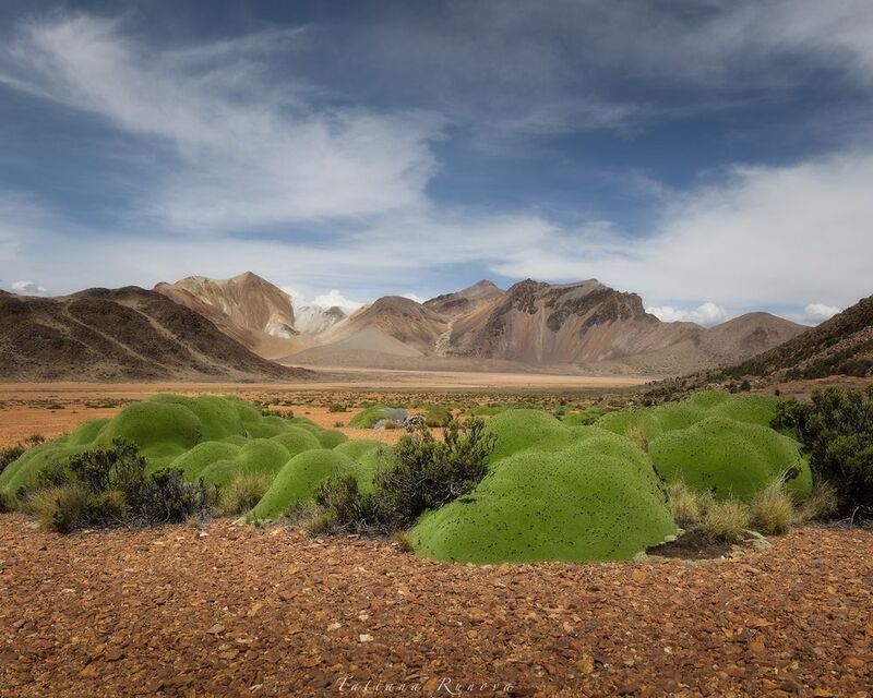 Сюжет чилийской пустыни фото превью