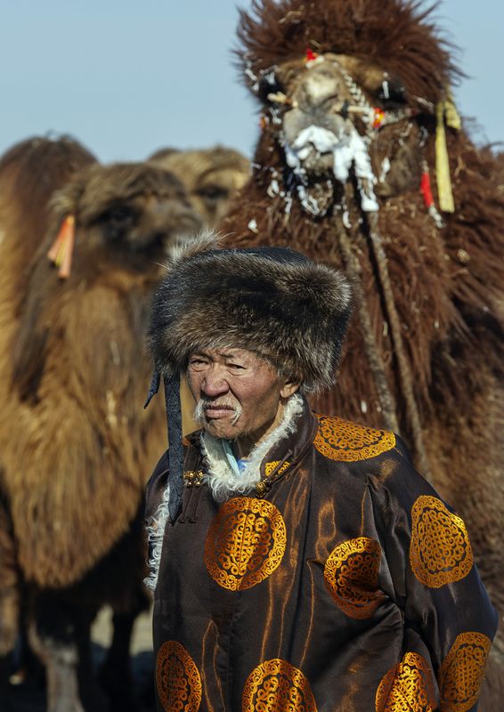 Mongolian camel winter festival Mongolian camel winter festivalphoto preview