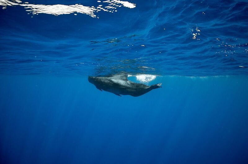 Малышphoto preview