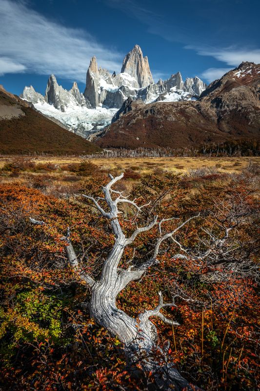 патагония, фицрой, осень Осень в Патагонииphoto preview