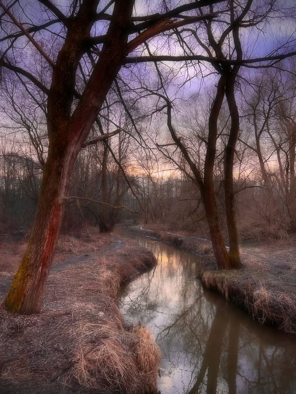 пейзаж, landscape, nature, природа, весна, spring, sunset, закат, лес, forest ***photo preview