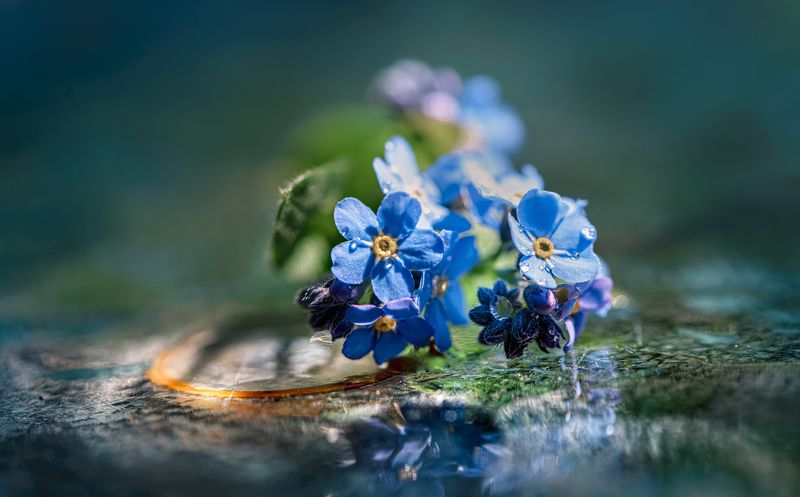 Потеряла я колечкоphoto preview