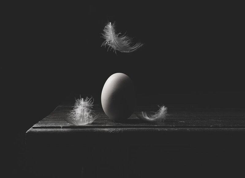 Пёрышкоphoto preview