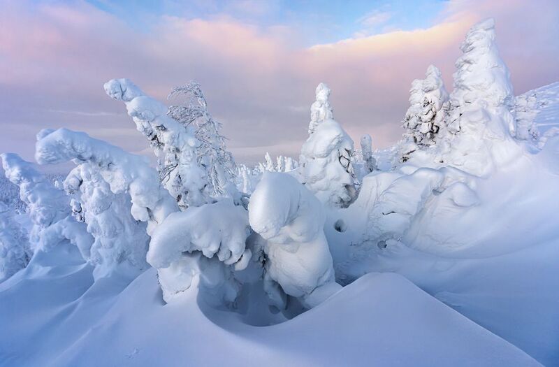 #урал #гух #зимний урал #тайга Уральские стражи. ГУХphoto preview