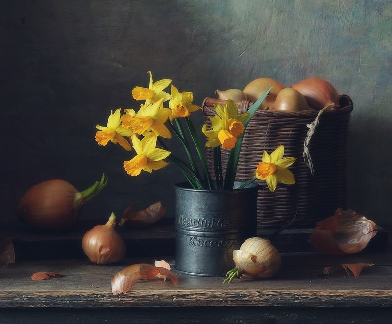 натюрморт,нарциссы,цветы,весна с нарциссами...photo preview