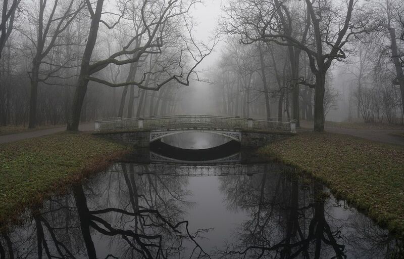 A morning in Novemberphoto preview