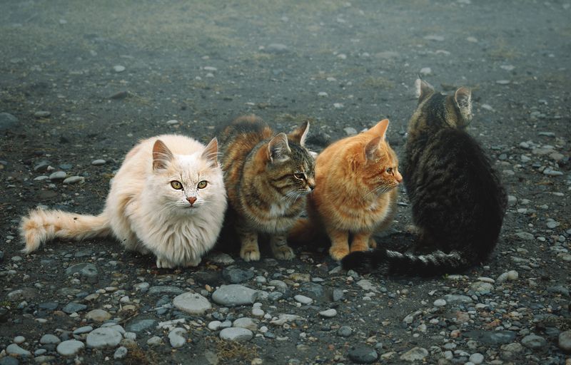 Будь собой! Остальные роли уже заняты.photo preview