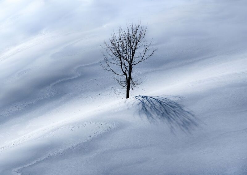 Одиночествоphoto preview