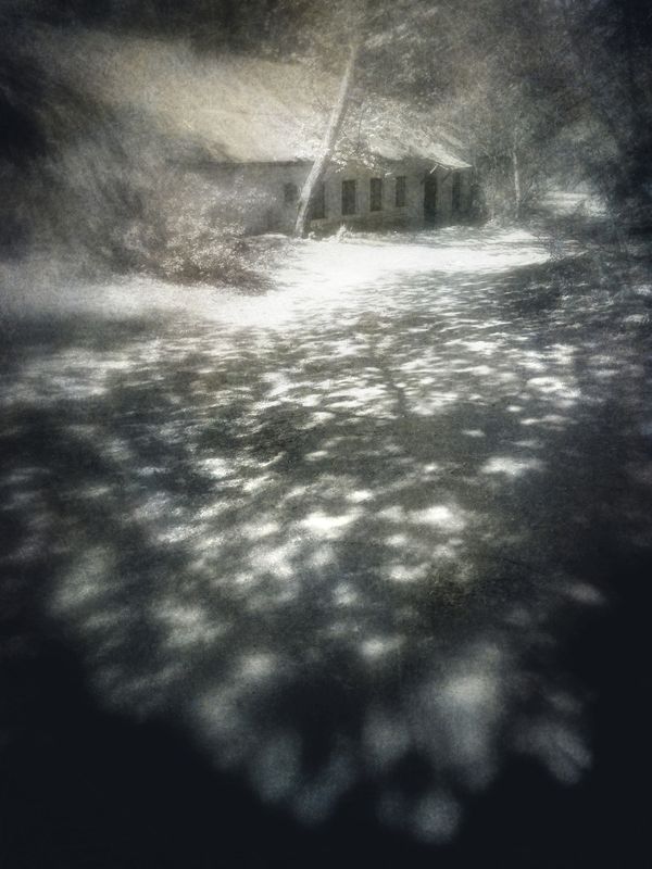 чб, тень, пикториализм Под сенью юной листвы.photo preview