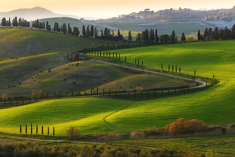 Дорога...photo preview