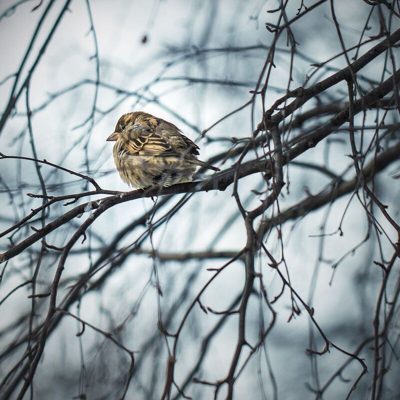 Обиделся я...photo preview