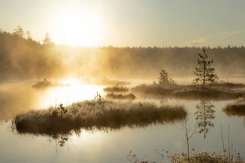 пейзаж Таким вот утромphoto preview