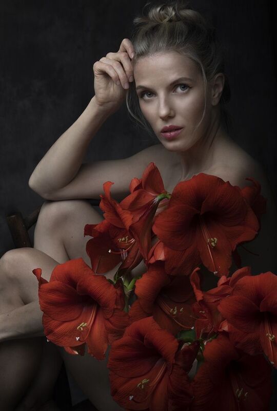 Красные амарилисыphoto preview