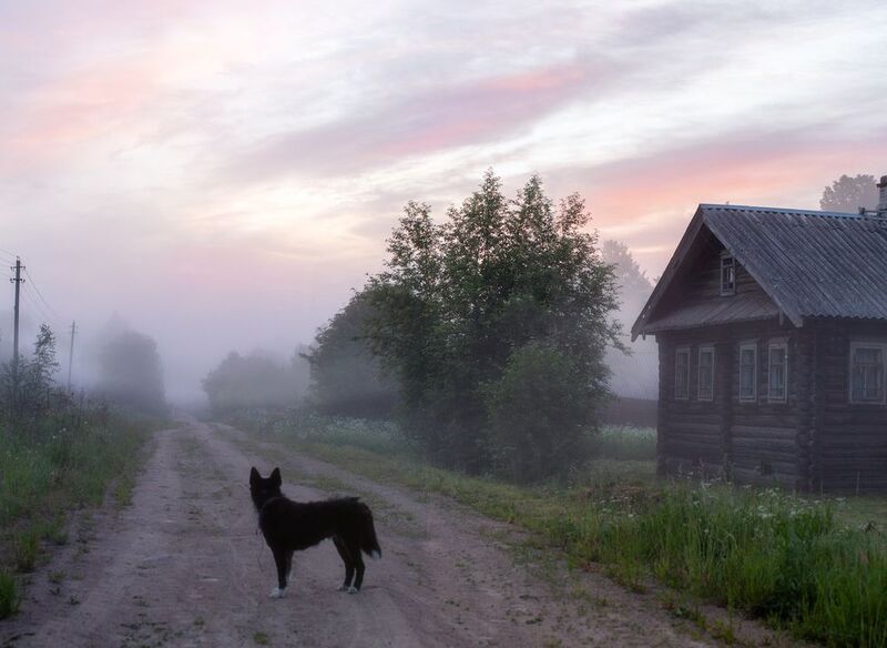 деревня, север, утро, туман, рассвет, вологодская область ты это, заходи если че фото превью