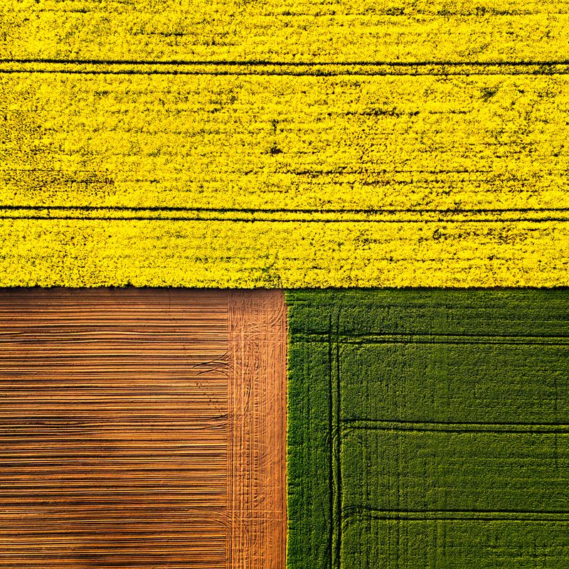 fields, drone, colors,  Three colorsphoto preview