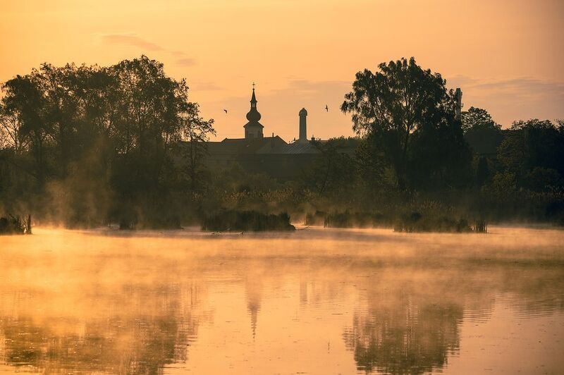 Morningphoto preview